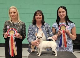 Photo of BIS winner and judges